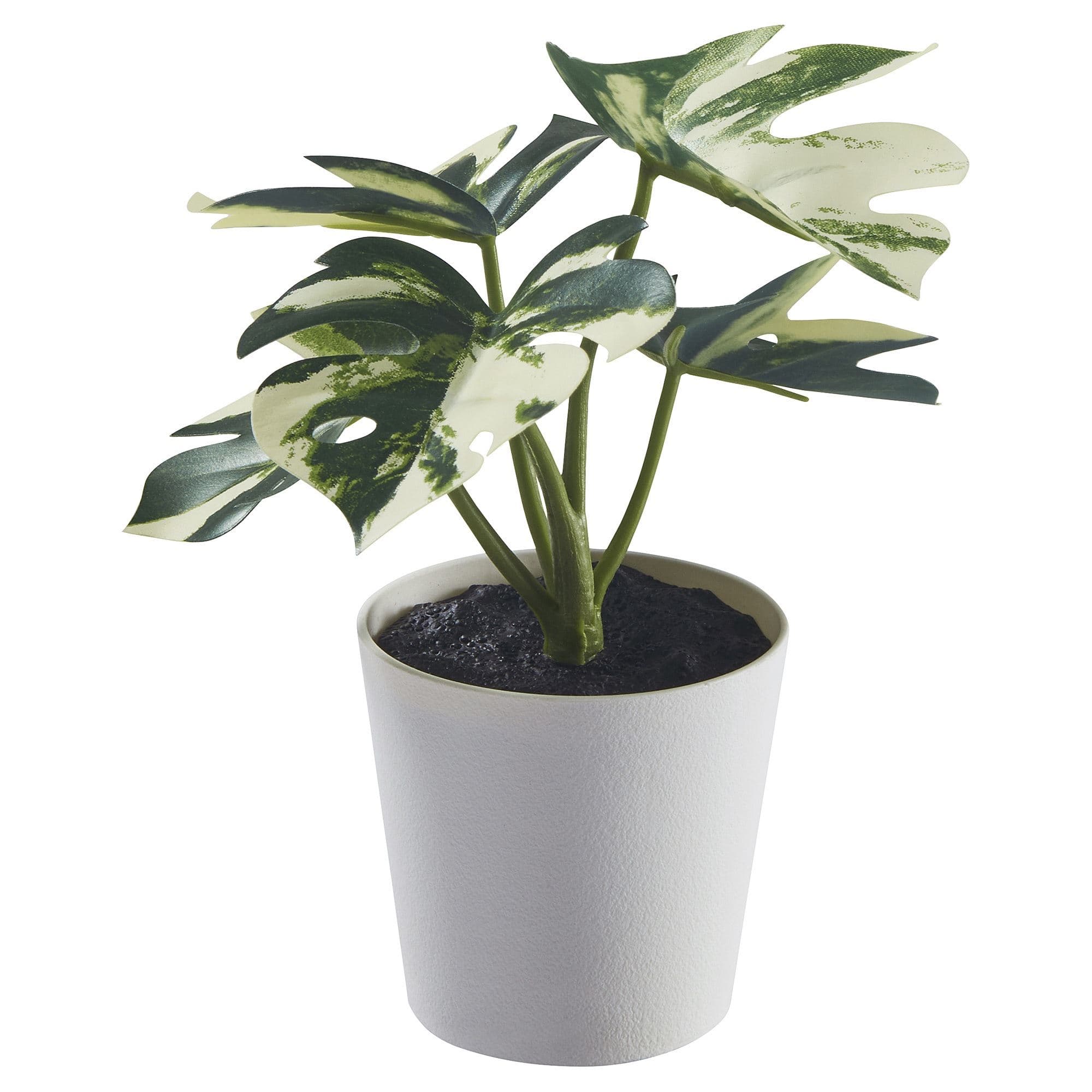 6 Cm Saksılı Yapay Bitki - Yeşil 6 cm Bitki Türü monstera