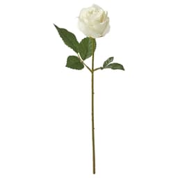40 Cm Yapay Çiçek - Beyaz 40 cm Bitki Türü Yıldız çiçeği Ek Bilgi iç/dış mekan