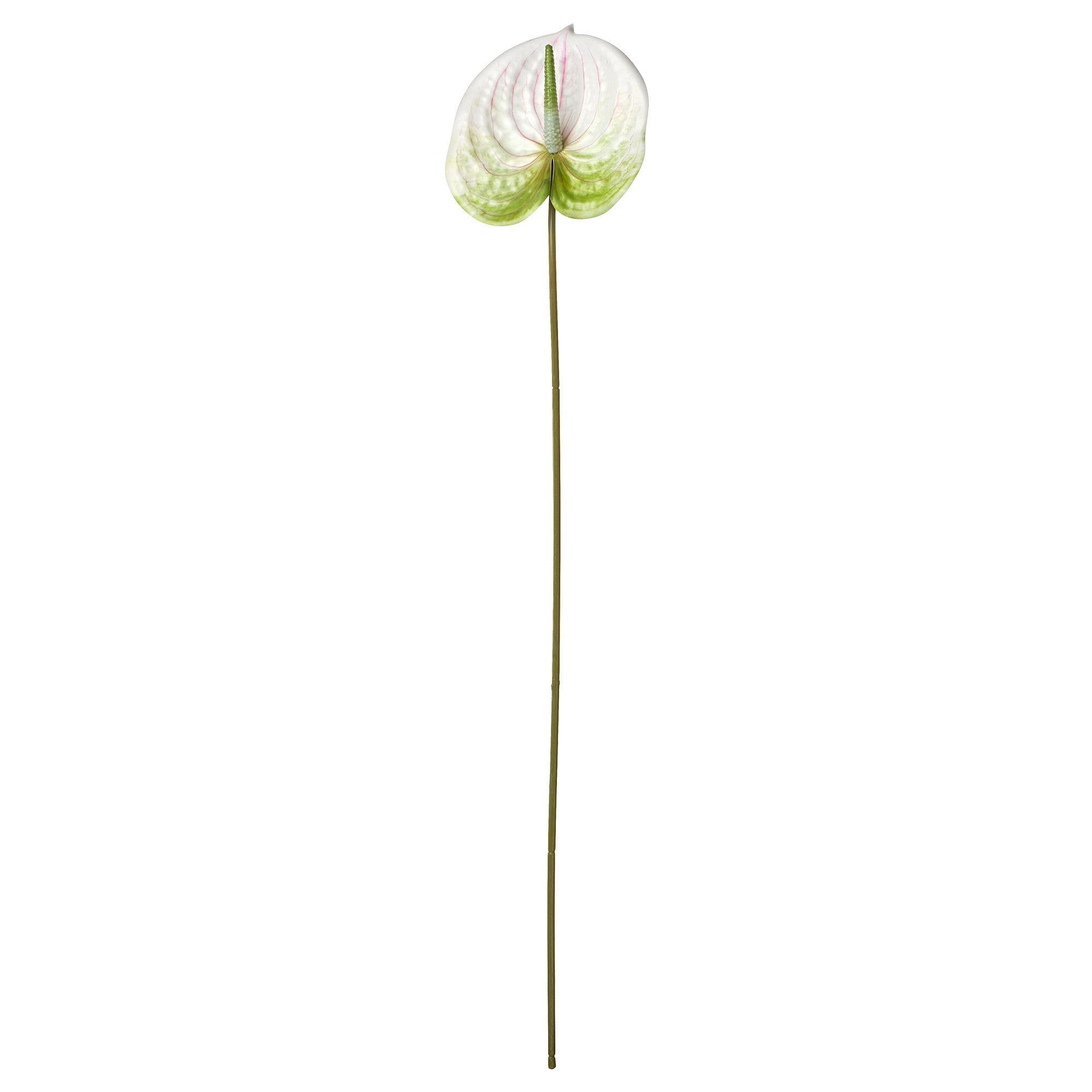 66 Cm Yapay Çiçek - Beyaz 66 cm Bitki Türü anthurium Ek Bilgi iç-dış mekan